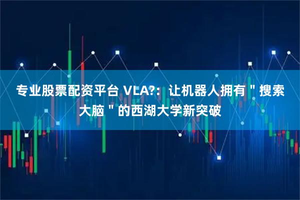 专业股票配资平台 VLA?：让机器人拥有＂搜索大脑＂的西湖大学新突破